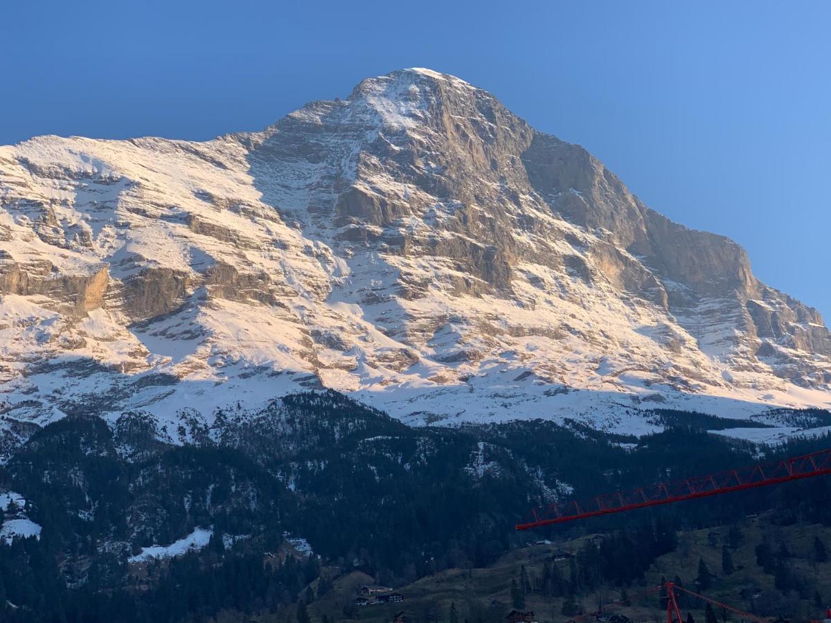 Fluehblueemli Apartment Grindelwald Exterior photo