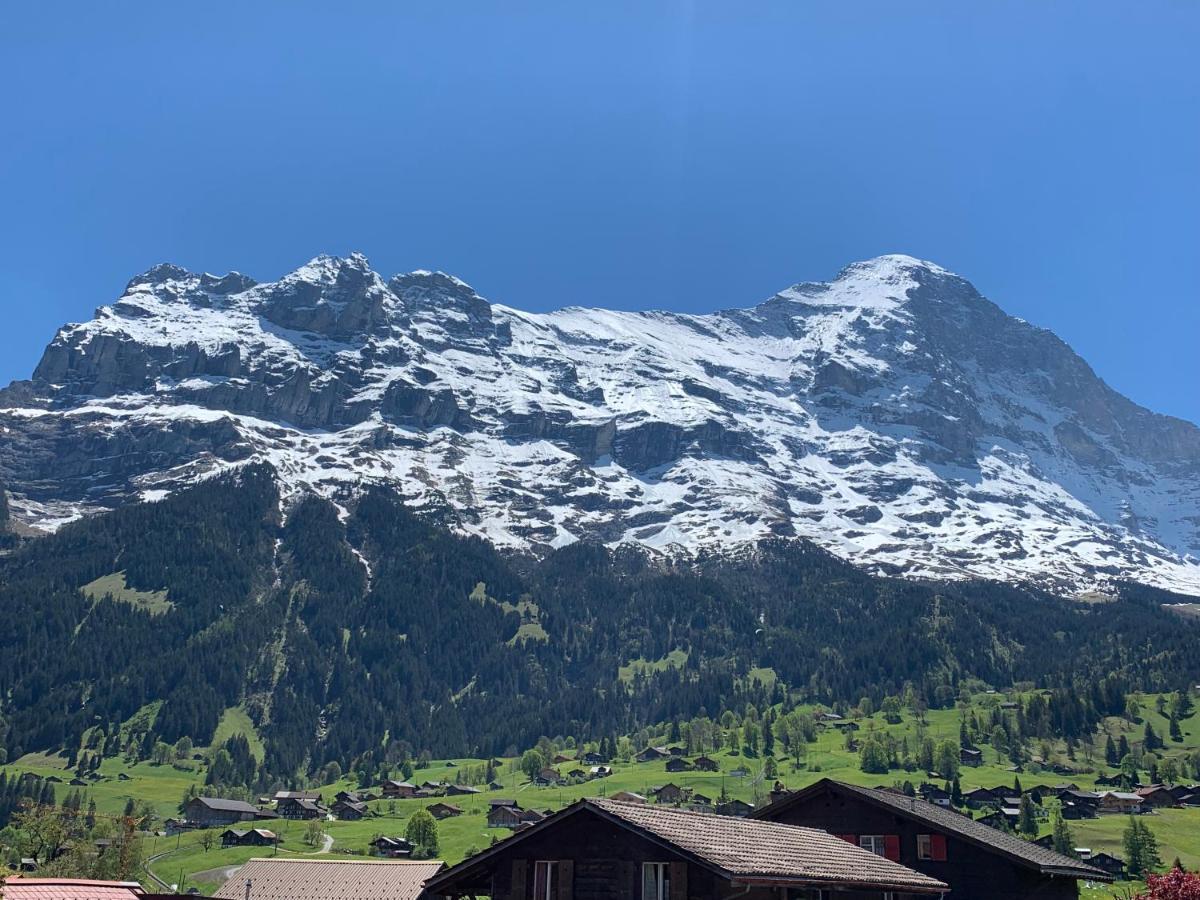 Fluehblueemli Apartment Grindelwald Exterior photo